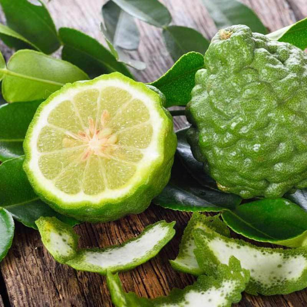 Bergamot fruit used to make essential oil in Black Orchid copycat fragrances by Match Perfumes