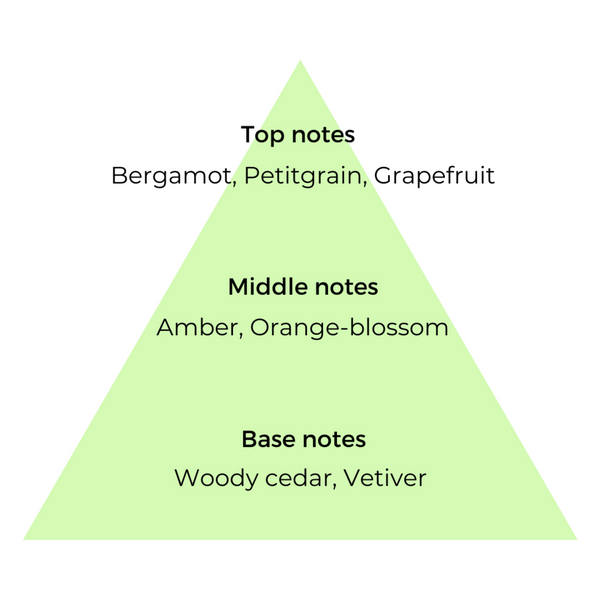 Top, middle & base notes list of ingredients used in Bergamot copycat fragrances by Match Perfumes