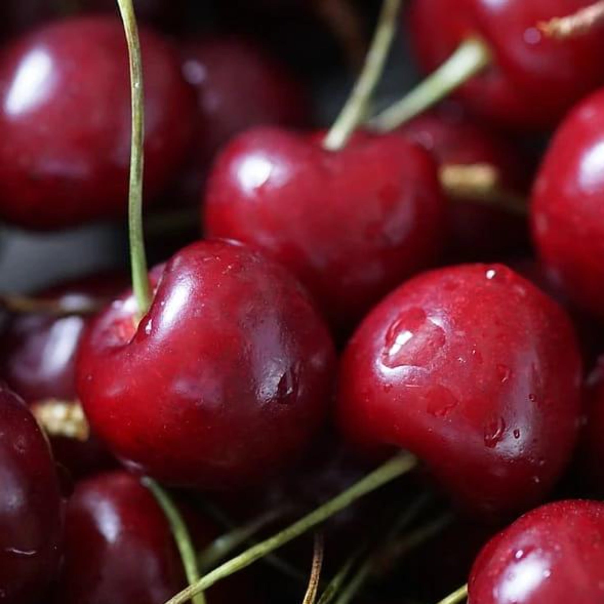 Cherry berries used to make essential oil for Lost Cherry copycat fragrances by Match Perfumes