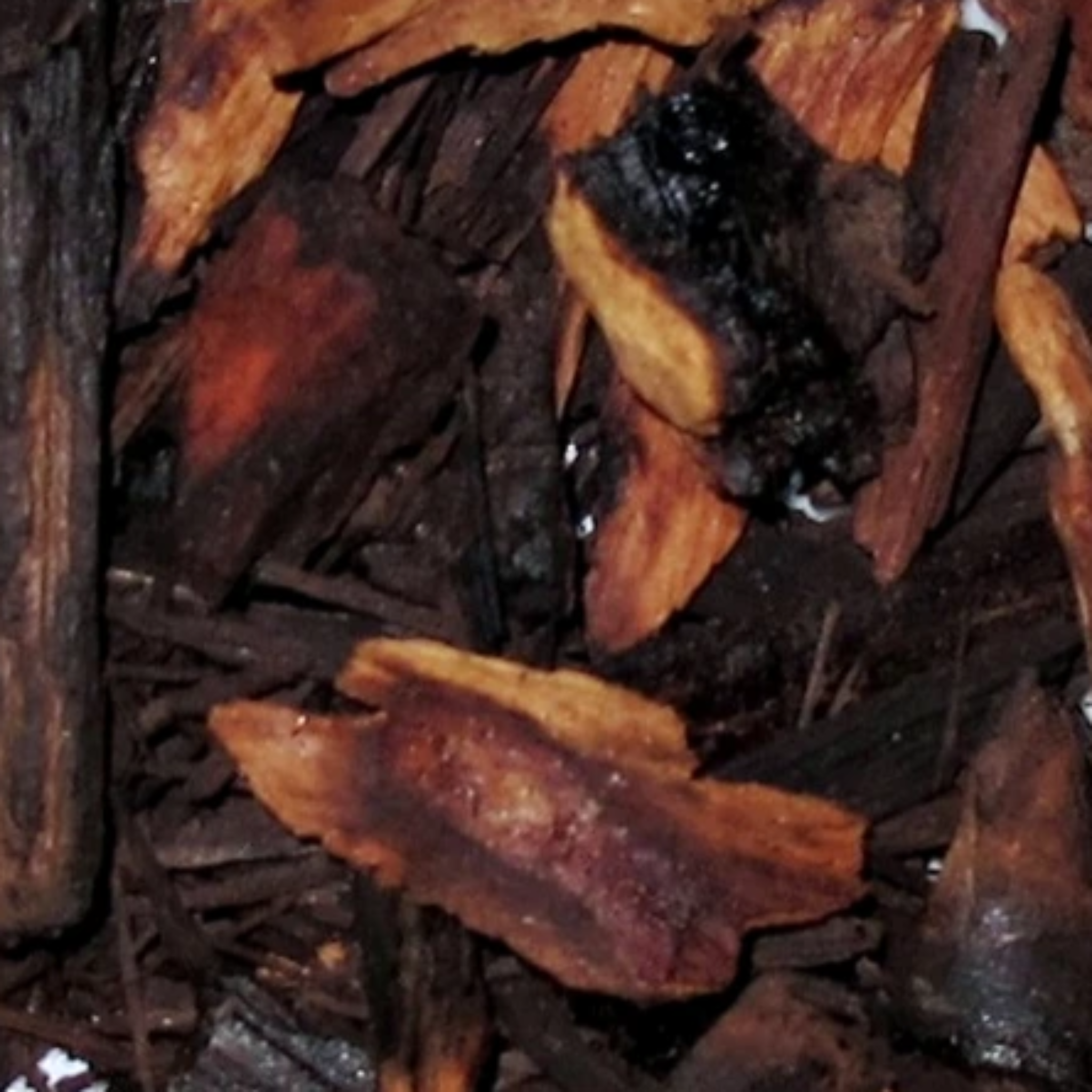 Inspired by Ombre Nomade - No.33 (NEW)