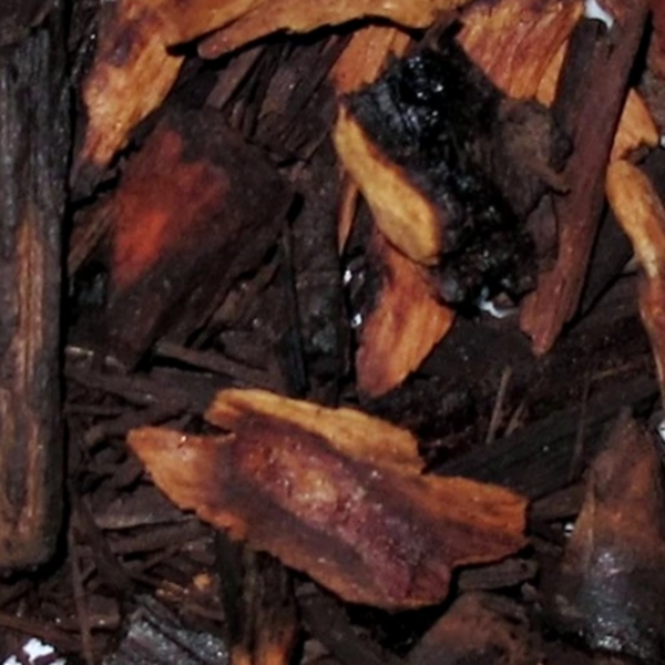 Inspired by Oud Wood - No.17