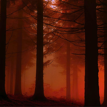 Inspired by Sauvage ELIXIR - No.11