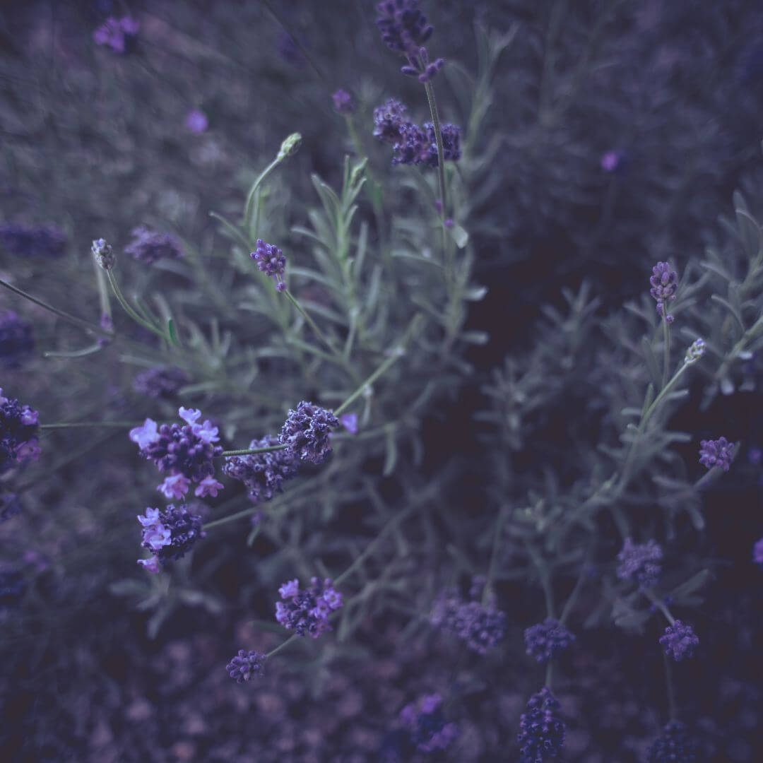 Inspired by Sauvage ELIXIR - No.11