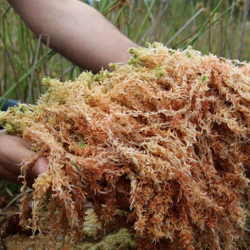 Inspired by Another 13 - No.28