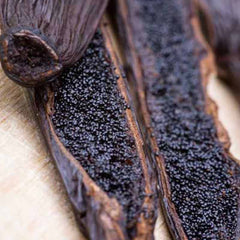 Vanilla pods used to make essential oils for Cierge de Lune copycat fragrances by Match Perfumes