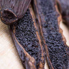 Vanilla pods used to make essential oils for Libre copycat fragrances by Match Perfumes